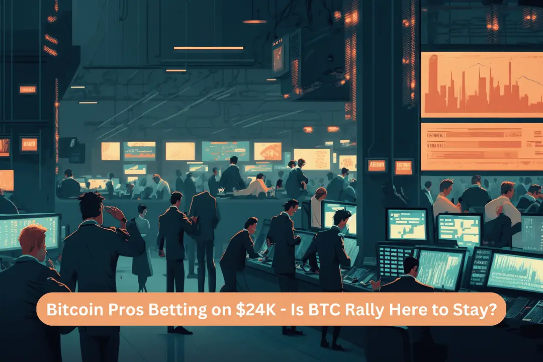 Bitcoin rally up to $24K level 