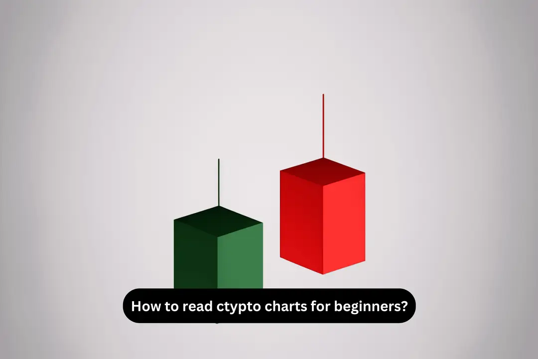 Reading crypto charts for beginners 