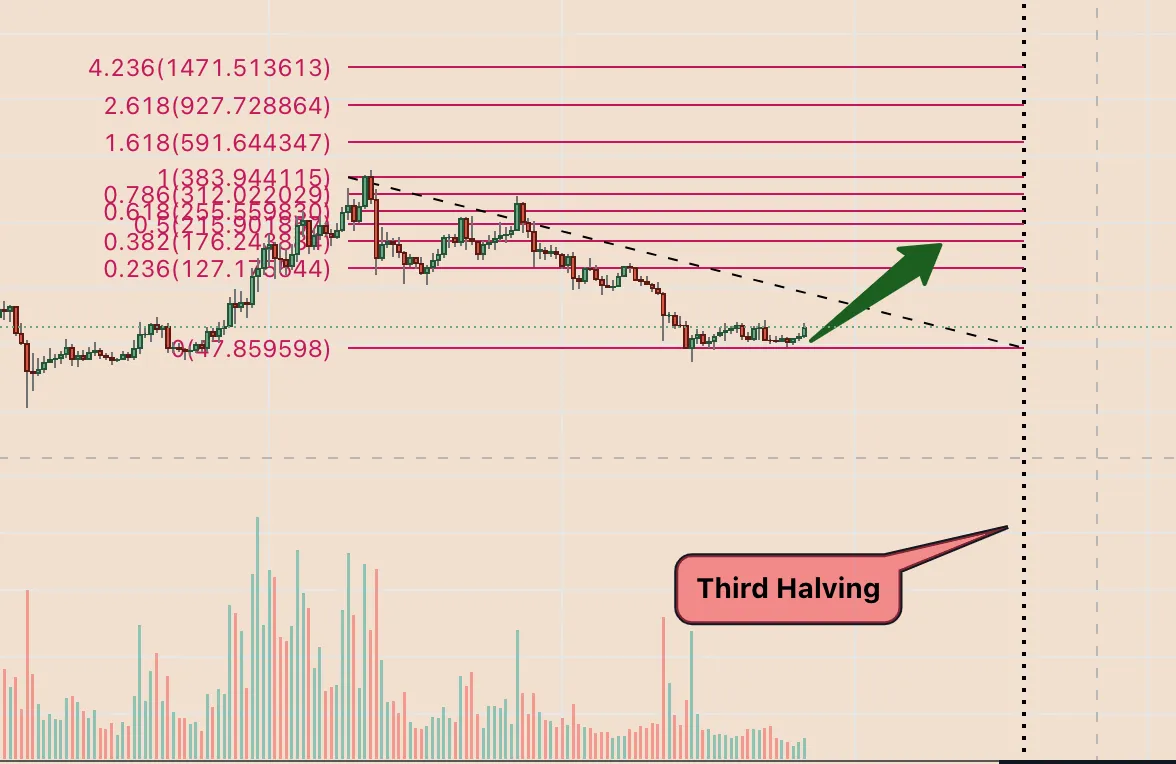 LTC/USD weekly price chart featuring pre-3rd-halving trend. Source: TradingView