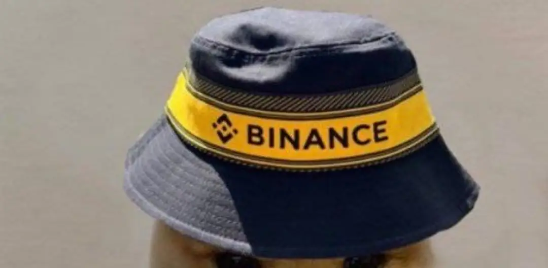 Photo of Binance WIF Hat: Dogwifhat Listing Announcement Skyrockets Price 25% To New ATH