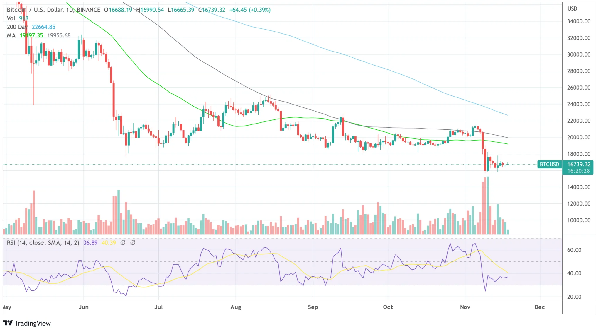 Bitcoin price does not move much in the 1-day chart. Source: TradingView