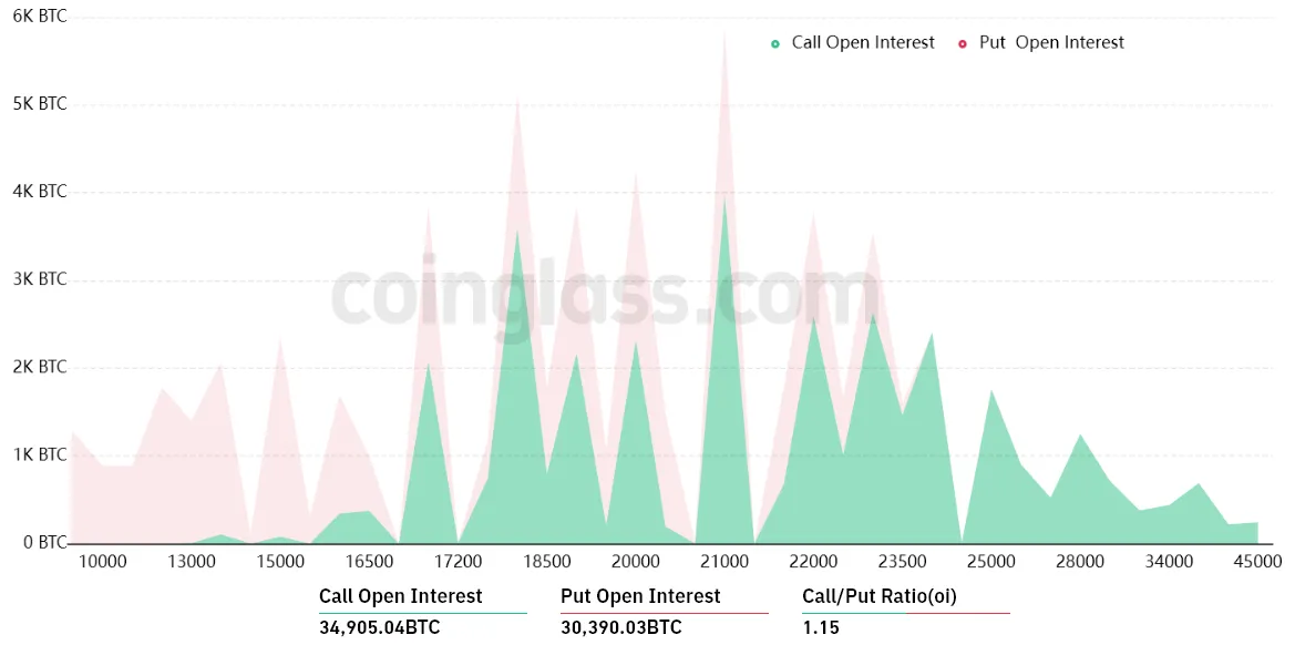 Bitcoin options aggregate open interest. Source - CoinGlass