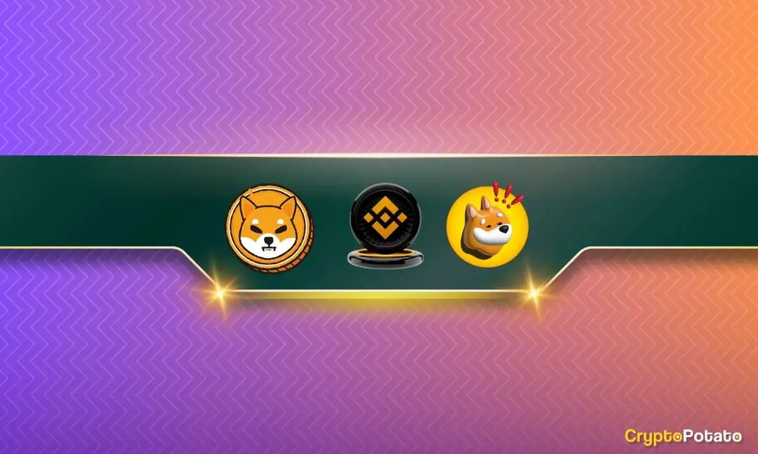 Photo of Binance Releases an Important Update Affecting Shiba Inu (SHIB) and Bonk Inu (BONK) Traders