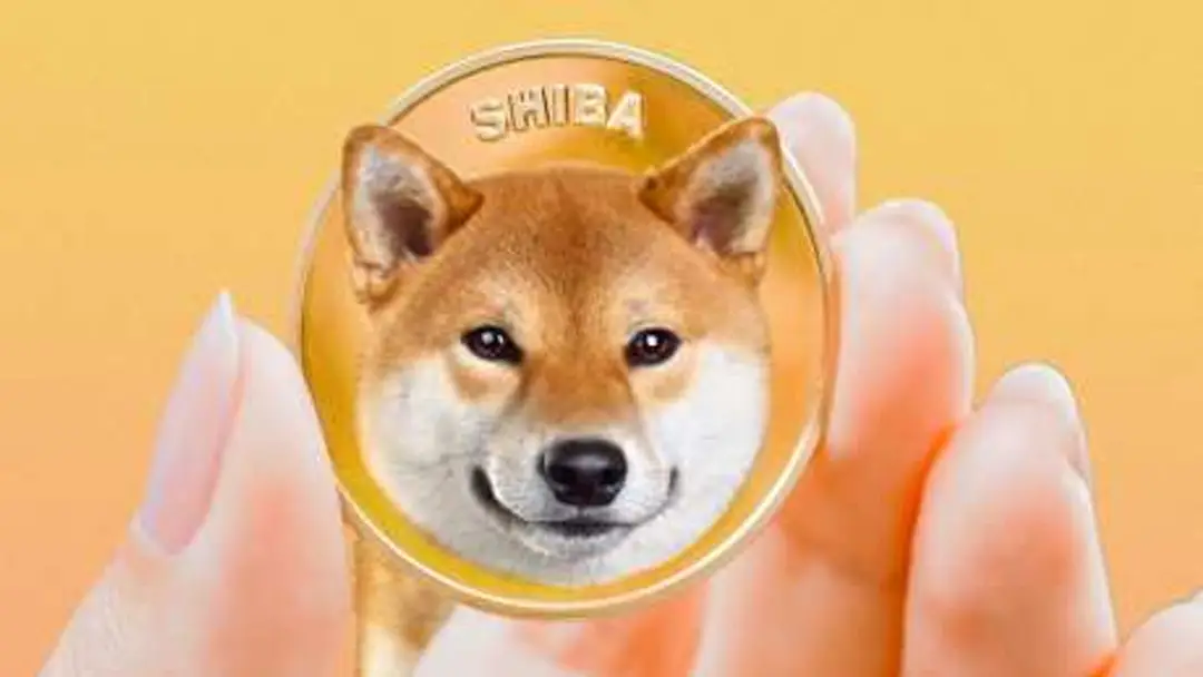 Photo of Shiba Inu Open Interest Falls Behind General Crypto Market, What This Means For Price