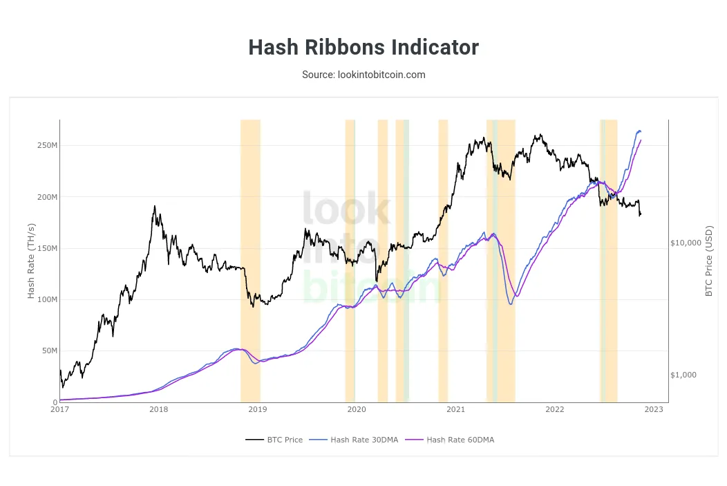 Bitcoin Hash Ribbons chart. Source: LookIntoBitcoin